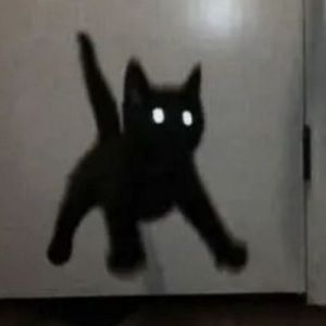 Meet your Posher, Briley